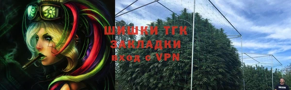 PSILOCYBIN Богородицк